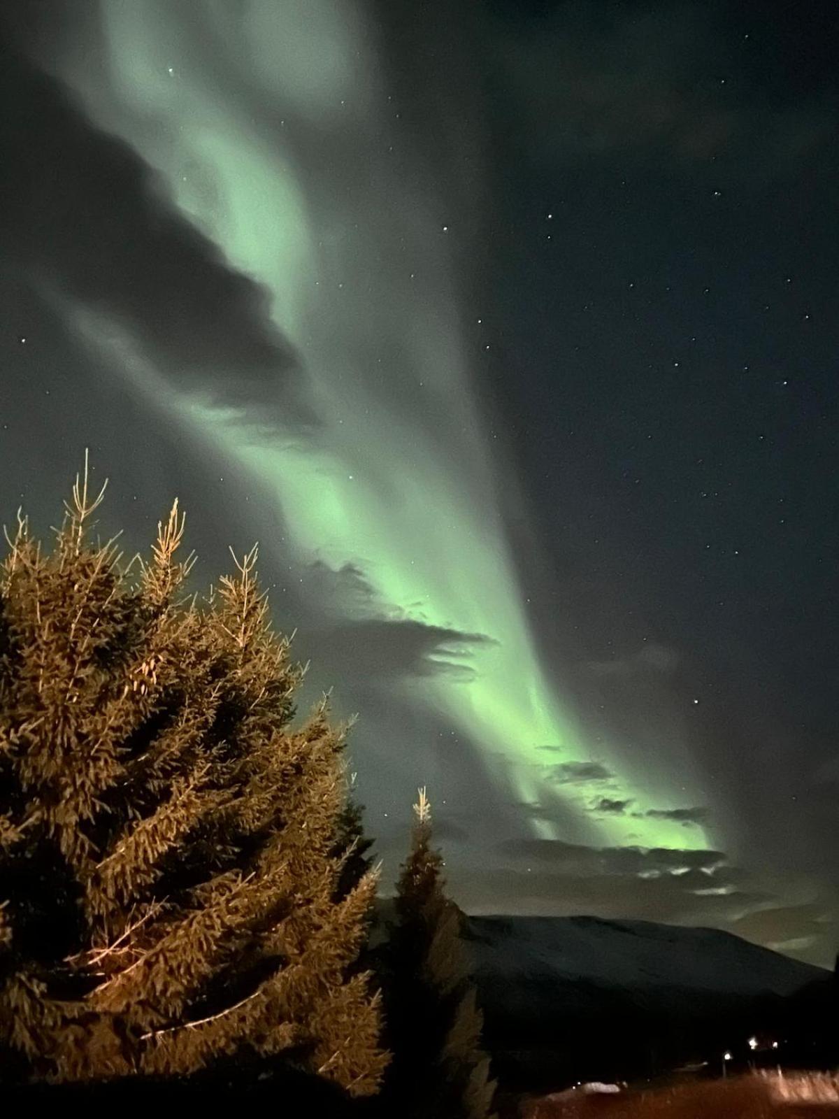 Aurora Nygard * Sletta (Hordaland)